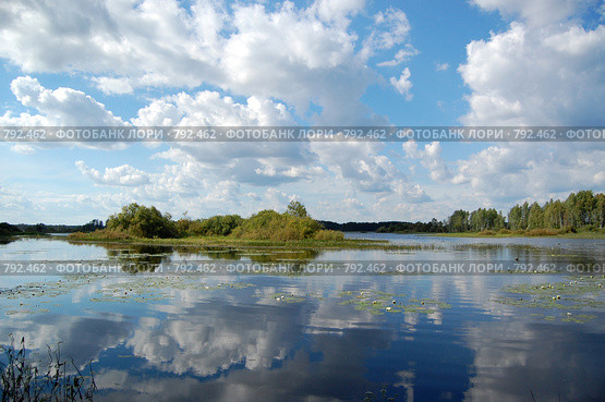 Река Малога. облака отражаются в реке. Стоковое фото, фотограф Елена Азарнова / Фотобанк Лори