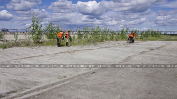 Рекультивация участка добычи нефти. Посадка саженцев сосны. Reclamation of an oil production site. Planting pine seedlings. (2015 год). Редакционное видео, видеограф Евгений Романов / Фотобанк Лори
