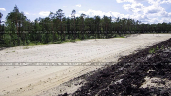 Рекультивация участка добычи нефти. Посадка саженцев сосны. Reclamation of an oil production site. Planting pine seedlings. Стоковое видео, видеограф Евгений Романов / Фотобанк Лори