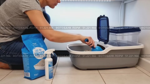 Responsible pet owner maintaining cat litter, scooping fresh litter, applying deodorizer for clean, odor free living space. Стоковое AI-видео, аниматор Юрий Поздников / Фотобанк Лори