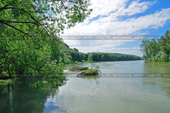 Республика Горный Алтай. Река Катунь. Стоковое фото, фотограф Александр Тараканов / Фотобанк Лори