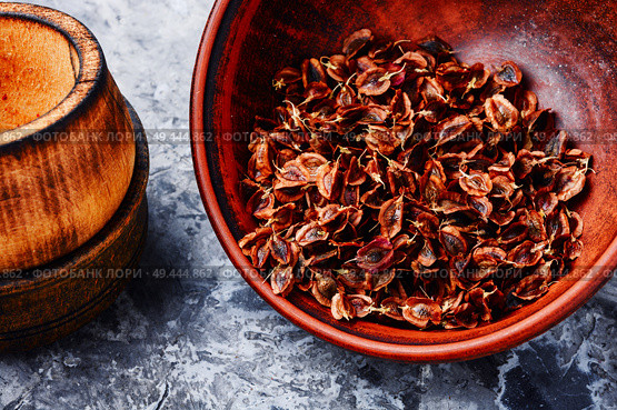 Rhubarb seeds on a wooden table.Seed preparation for sowing. Rhubarb seeds in bowl. Стоковое фото, агентство Ingram Publishing / Фотобанк Лори