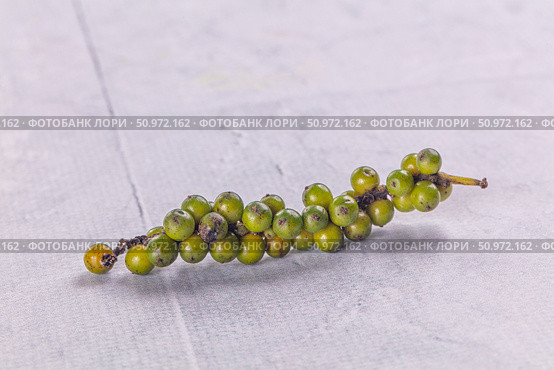 Ripe green pepper corn branch. Стоковое фото, фотограф Андрей Старостин / Фотобанк Лори