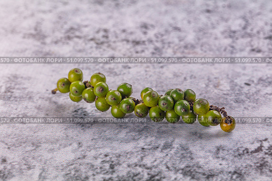 Ripe green pepper corn branch. Стоковое фото, фотограф Андрей Старостин / Фотобанк Лори