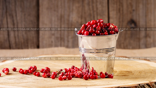 ripe lingonberries in a decorative bucket on a wooden background. Стоковое фото, фотограф Igor Skripachev / Фотобанк Лори