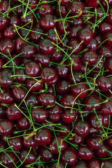 Ripe red cherries in the market on the counter. Стоковое фото, фотограф Виктория Подгорная / Фотобанк Лори