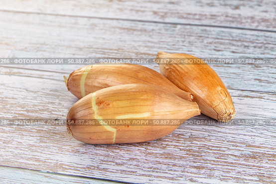 Ripe shallot onion for cooking. Стоковое фото, фотограф Андрей Старостин / Фотобанк Лори