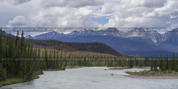 River flowing through forest with mountains in the background, Athabasca River, Icefields Parkway, Jasper, Alberta, Canada. Стоковое фото, агентство Ingram Publishing / Фотобанк Лори