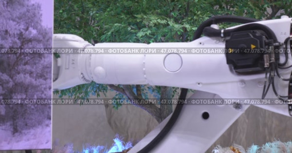 Robotic arms demonstrate the beauty of nature. (2023 год). Редакционное видео, видеограф Андрей Шалари / Фотобанк Лори