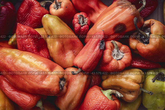 Rotting vegetables and food - Bulgarian sweet pepper background, which began to rot and deteriorate. the problem of keeping food fresh. Стоковое фото, фотограф Владимир Разгуляев / Фотобанк Лори
