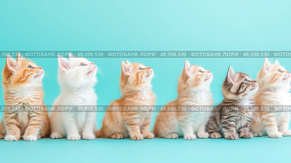 Row of Curious Kittens on Turquoise: Playful Felines Looking Upward, Ideal for Animal Lovers, Pet Adoption Campaign, and Whimsical Print. Стоковое AI-изображение, AI-художник Данила Большаков / Фотобанк Лори