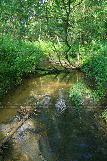 Ручей возле Шутова камня (2008 год). Стоковое фото, фотограф АЛЕКСАНДР МИХЕИЧЕВ / Фотобанк Лори