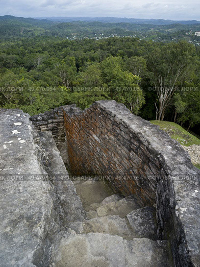 Ruins of staircase at Ancient Mayan Archaeological Site, San Jose Succotz, Cayo District, Belize. Стоковое фото, агентство Ingram Publishing / Фотобанк Лори