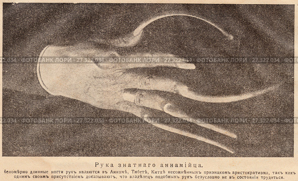 Рука знатного аннамийца. Иллюстрация из журнала "Природа и люди", 1915 год. Стоковая иллюстрация, иллюстратор Макаров Алексей / Фотобанк Лори