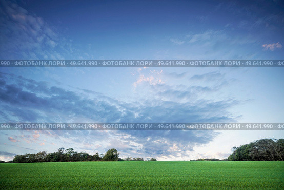 Rural landscape at dawn with green crops under a dramatic sunset sky. Стоковое фото, агентство Ingram Publishing / Фотобанк Лори