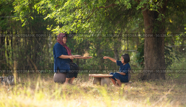 Rural life of Thai farmers More than 70% have to live on farming. Sifting rice with baskets that farmers are doing as shown in the picture is a method of separating rice from the husk. Стоковое фото, агентство Ingram Publishing / Фотобанк Лори