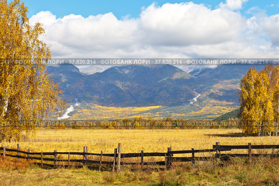 Rustic autumn landscape with yellowed trees and a cereal field against the backdrop of mountains with low clouds on a sunny day. Buryatia, Eastern Sayans, Tunka Valley, Arshan. Стоковое фото, фотограф Виктория Катьянова / Фотобанк Лори