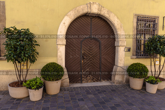Rustic brown arched wooden door framed by stone and flanked by decorative potted plants. Стоковое фото, фотограф Виктор Ветошкин / Фотобанк Лори