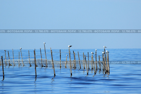 Рыболовные сети, Белое море, остров Ягры. Стоковое фото, фотограф Исадская Майя / Фотобанк Лори