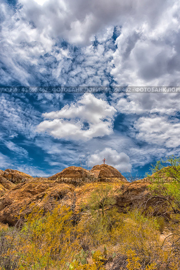 Saguaro National Park, landscape with cloudy sky (2016 год). Стоковое фото, фотограф Анна Кривицкая / Фотобанк Лори