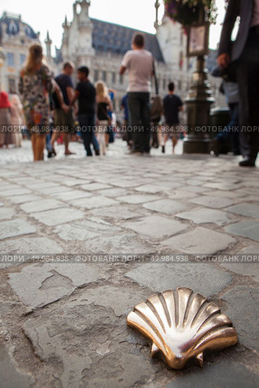 Saint James way shell golden metal on streets soil stone floor with a crowd of people on the main square in Brussels, Belgium. St James shell in Brussels. Стоковое фото, агентство Ingram Publishing / Фотобанк Лори