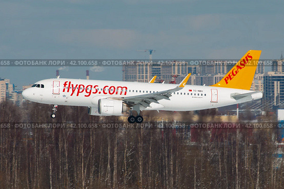 Самолет Airbus A320 Neo авиакомпании "Pegasus" заходит на посадку в аэропорту Пулково (2016 год). Редакционное фото, фотограф Сергей Крамарев / Фотобанк Лори