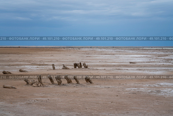 Sandy shores of the drying salt lake Baskunchak on a summer day, Nizhny Baskunchak, Akhtubinsky district, Astrakhan region, Russia. Стоковое фото, фотограф Ula Ulachka / Фотобанк Лори