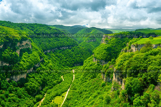 Scenic view of a deep green canyon with rocky walls in a mountainous area in cloudy weather. Стоковое фото, фотограф Константин Лабунский / Фотобанк Лори