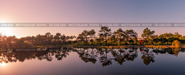 Scenic view of Bucaquinho Natural Park, Ovar, north of Portugal. Стоковое фото, агентство Ingram Publishing / Фотобанк Лори