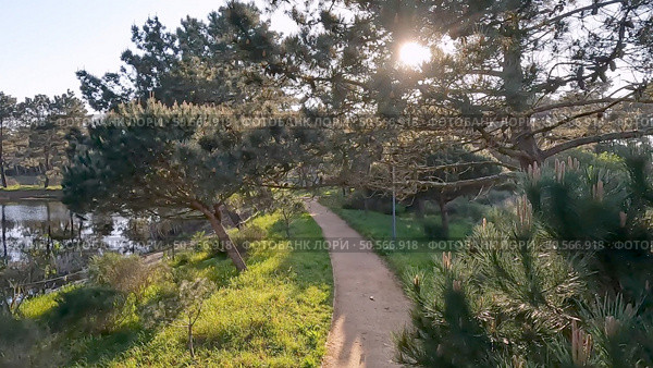 Scenic view of Bucaquinho Natural Park, Ovar, north of Portugal. Стоковое фото, агентство Ingram Publishing / Фотобанк Лори