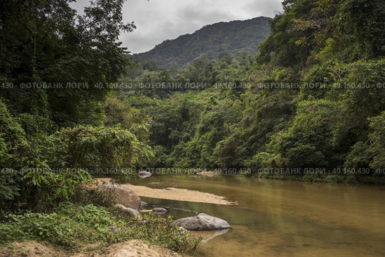 Scenic view of river flowing in forest, Yelapa, Jalisco, Mexico. Стоковое фото, агентство Ingram Publishing / Фотобанк Лори
