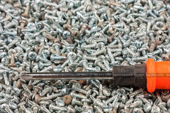 Screwdriver lying on a pile of white screws. Tool and equipment. Стоковое фото, фотограф Александр Собко / Фотобанк Лори