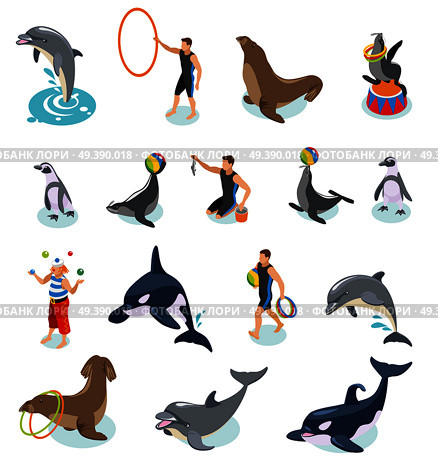 Sea circus isometric icons set of seals walrus penguins dolphin killer whale animal trainers and juggling clown isolated vector illustration  . Sea Circus Isometric Icons. Стоковая иллюстрация, агентство Ingram Publishing / Фотобанк Лори
