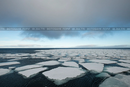Sea ice in the Barents Sea near Franz Josef Land in summer. Стоковое фото, фотограф Vladimir / Фотобанк Лори