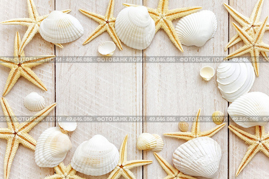 Sea shells. Стоковое фото, агентство Ingram Publishing / Фотобанк Лори