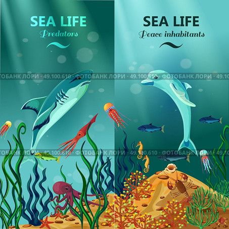 Sea Underwater Life Vertical Banners. Colorful vertical sea life banners with peace and predator inhabitants of underwater coral reefs flat vector illustration . Стоковая иллюстрация, агентство Ingram Publishing / Фотобанк Лори