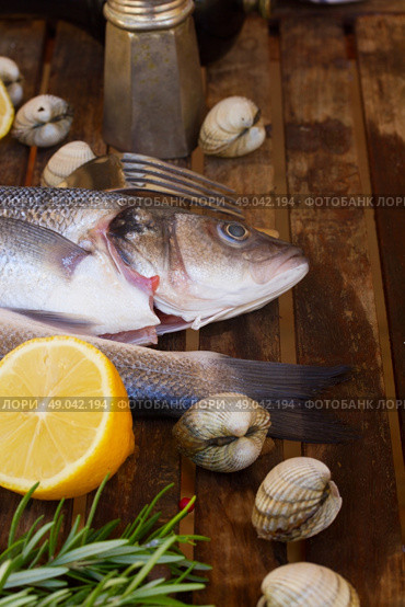 Seabass. Two Seabass silver raw fish with shellfish and spices on wooden table  . Стоковое фото, агентство Ingram Publishing / Фотобанк Лори