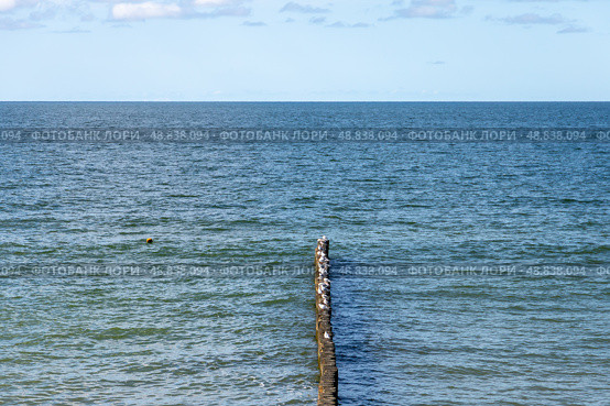 Seaside view featuring a wooden groyne extending into the ocean. Стоковое фото, фотограф EugeneSergeev / Фотобанк Лори