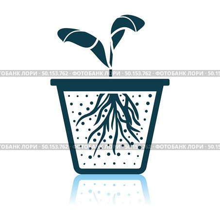 Seedling Icon. Shadow Reflection Design. Vector Illustration. Стоковая иллюстрация, агентство Ingram Publishing / Фотобанк Лори
