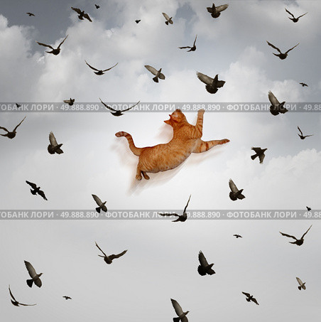 Seize the opportunity concept as a leaping cat jumping high up in the sky to catch flying birds as a business skill metaphor for being prepared for taking advantage of favorable market conditions. Стоковое фото, агентство Ingram Publishing / Фотобанк Лори