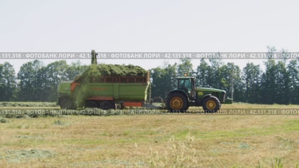 Сельскохозяйственная техника убирает скошенную траву с поля. Сенокос, заготовка травы на зиму. Редакционное видео, видеограф Глущенко Елена / Фотобанк Лори
