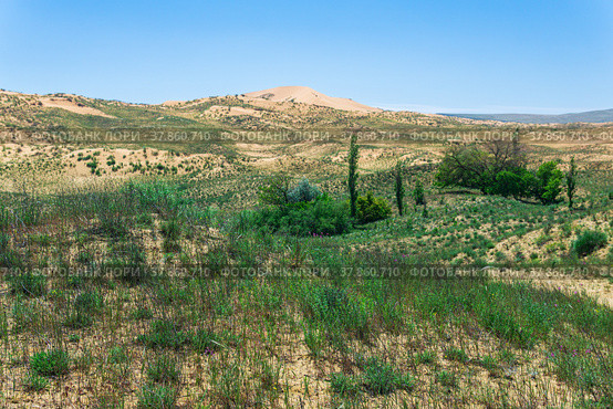 Semi-desert spring landscape in the vicinity of the Sarykum sand dune (2022 год). Редакционное фото, фотограф Евгений Харитонов / Фотобанк Лори