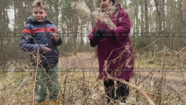 Senior woman and grandson walk through the park, capturing happy moments with selfies on a lovely day. Стоковое видео, видеограф Ирина Старикова / Фотобанк Лори