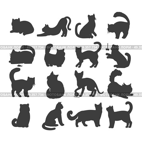 Set of Cats Vector Flat Design Illustration. Different breed cats. European shorthair, exotic, bengal, somali, maine coon cats heads flat vector illustrations set isolated on white background. For pet shop ad, animalistic hobby concepts. Стоковая иллюстрация, агентство Ingram Publishing / Фотобанк Лори