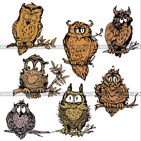 Set of cute owls on branch. Hand drawn picture isolated on white background. Стоковая иллюстрация, агентство Ingram Publishing / Фотобанк Лори