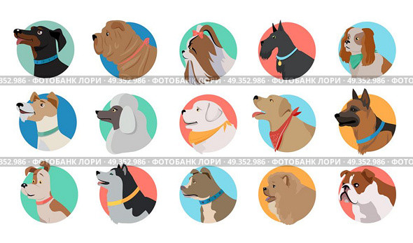 Set of Dog Round Icons. Set of dog round icons. Dog breed set. Different type of dogs. Icon collection for dog club, pet clinic and pet shop. Dog avatar. Isolated vector illustration on white background. Стоковая иллюстрация, агентство Ingram Publishing / Фотобанк Лори