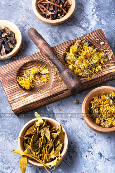 set of dried medicinal plants. Collection of medicinal herbs and plants in wooden mortar with a pestle. Стоковое фото, агентство Ingram Publishing / Фотобанк Лори
