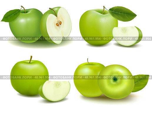 Set of fresh green apples with green leafs. Vector. . Стоковая иллюстрация, агентство Ingram Publishing / Фотобанк Лори