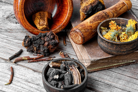 Set of healing herbs. Medicinal herbs of folk medicine comfrey,birch mushroom and calendula. Стоковое фото, агентство Ingram Publishing / Фотобанк Лори