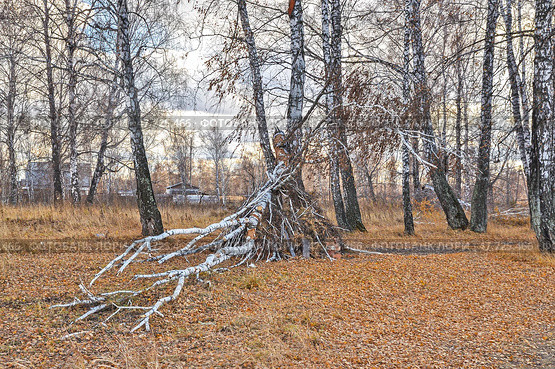 Шалаш в лесу, построенный детьми. Сибирь. Тюменская область. Стоковое фото, фотограф Александр Тараканов / Фотобанк Лори